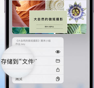 长安apple维修中心分享iPhone文件应用中存储和找到下载文件