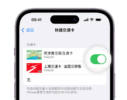 长安apple维修点分享iPhone上更换Apple Pay快捷交通卡手绘卡面 