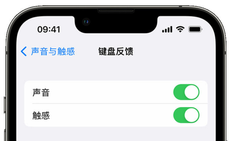 长安苹果手机维修分享iPhone 14触感键盘使用方法 