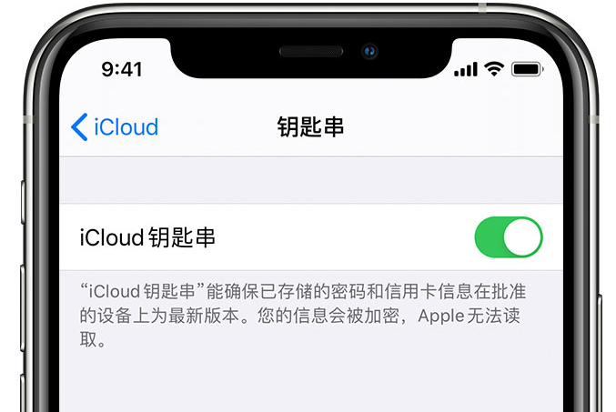 长安苹果手机维修分享在 iPhone 上开启 iCloud 钥匙串之后会储存哪些信息 