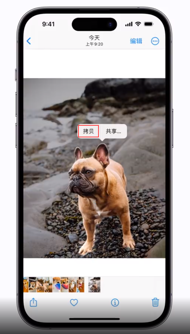 长安苹果手机维修分享 iOS 16 自带一键抠图功能 